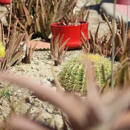 Chez Laura Et Benjamin ! Maison à La Climatisée Frontignan