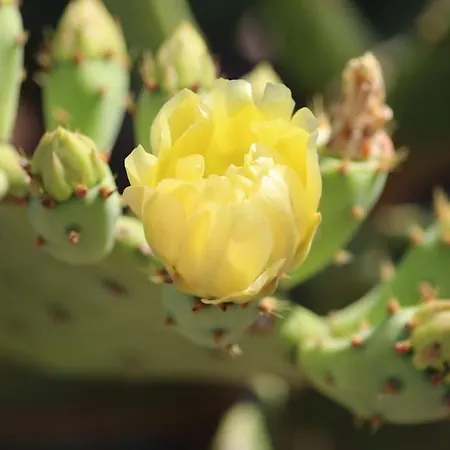 Chez Laura Et Benjamin ! Maison à La Climatisée Casa vacanze *