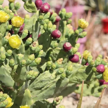 Casa vacanze Chez Laura Et Benjamin ! Maison à La Climatisée Frontignan